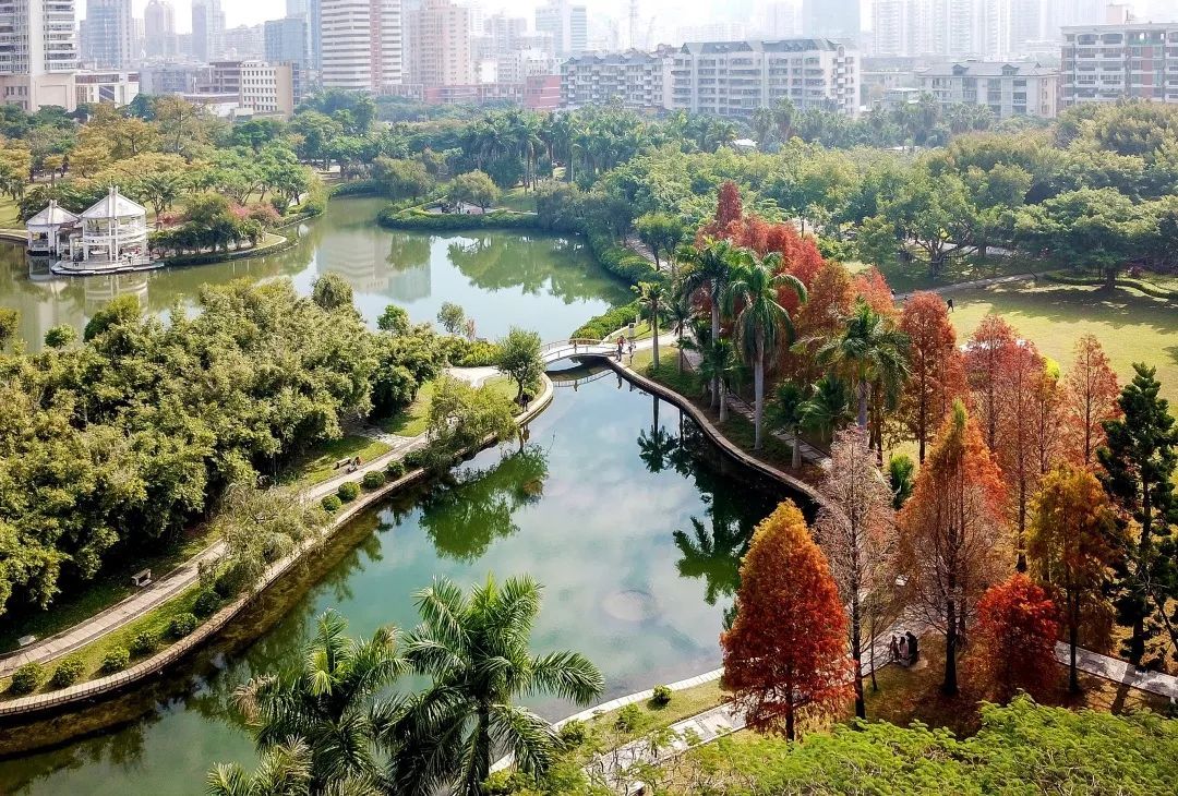 厦门旅游攻略免费,厦门旅游哪里好玩又免费攻略