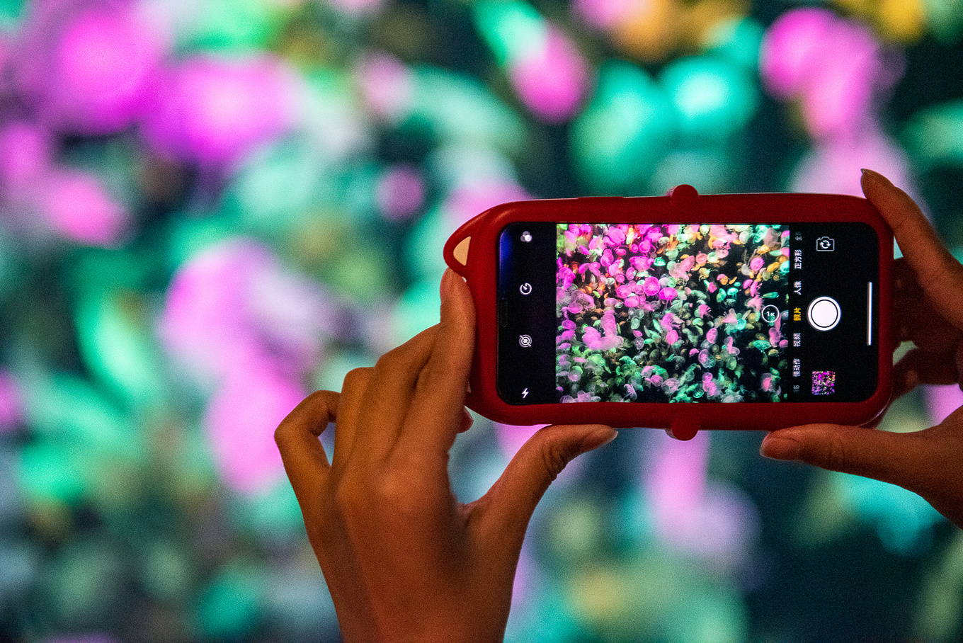 珠海长隆龙秀适合小朋友看吗,珠海长隆海洋王国值得打卡的地方