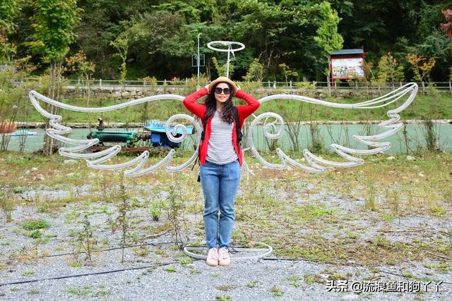 二郎山喇叭河看鹿,二郎山喇叭河看日出攻略