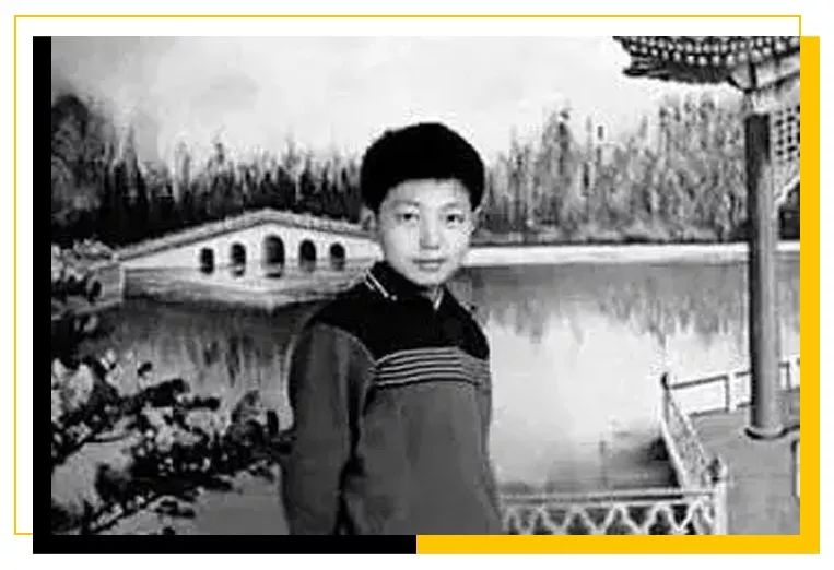 村花撒贝宁：我，43岁，*戏调**马云，芳心纵火犯