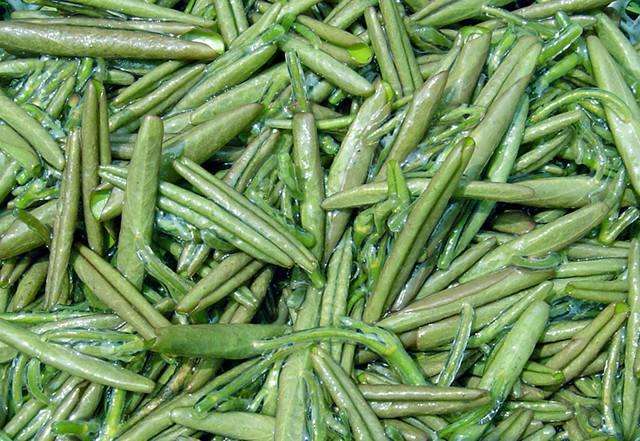 莼菜是什么植物的菜,野菜莼菜