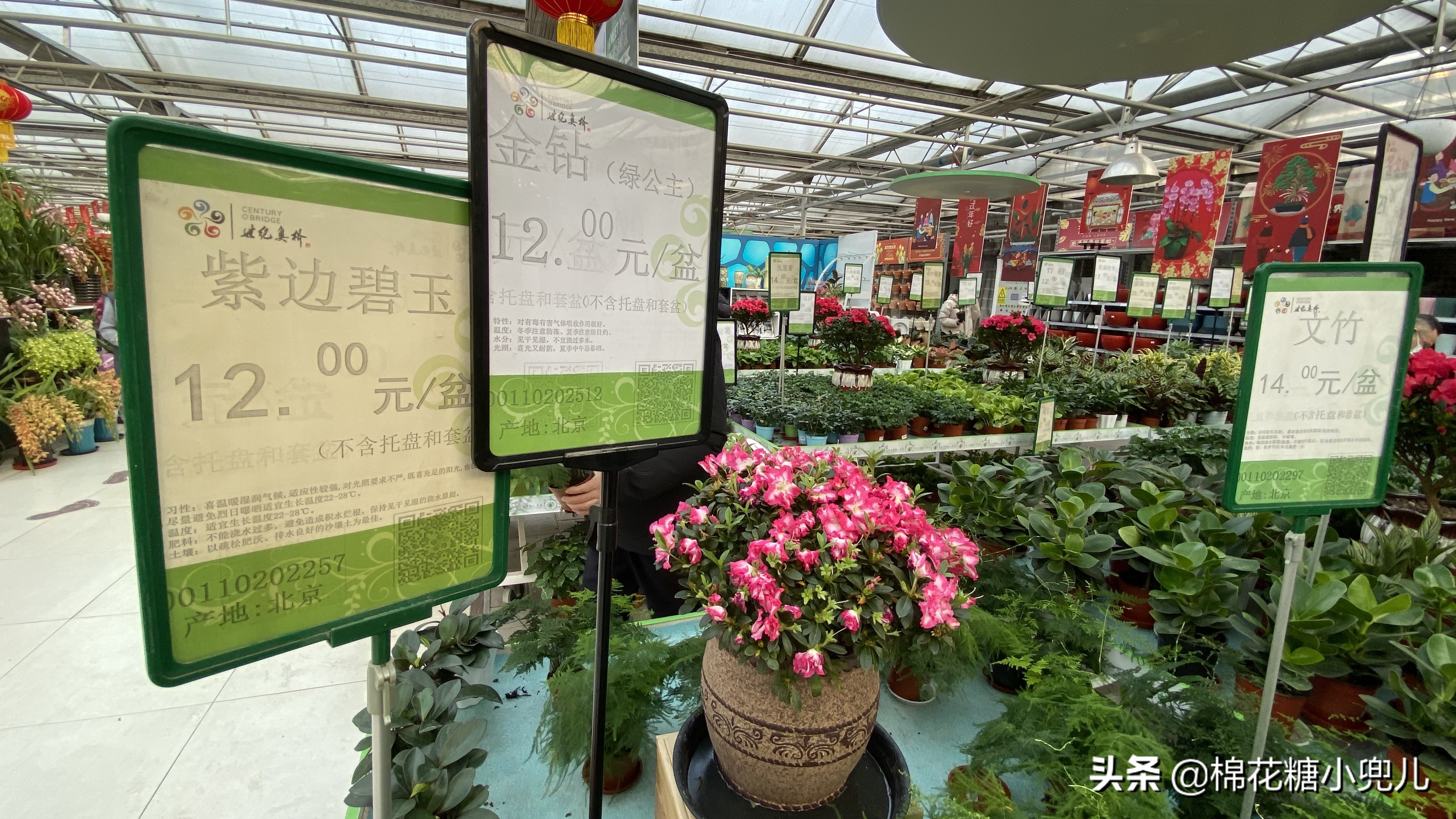北京南四环花卉绿植批发市场,北京开一家鲜花店