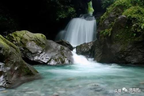 古诗词大全300首小学生图文,小学生必背古诗240首