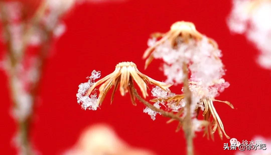 「徐水映像」换个角度看保定徐水,美