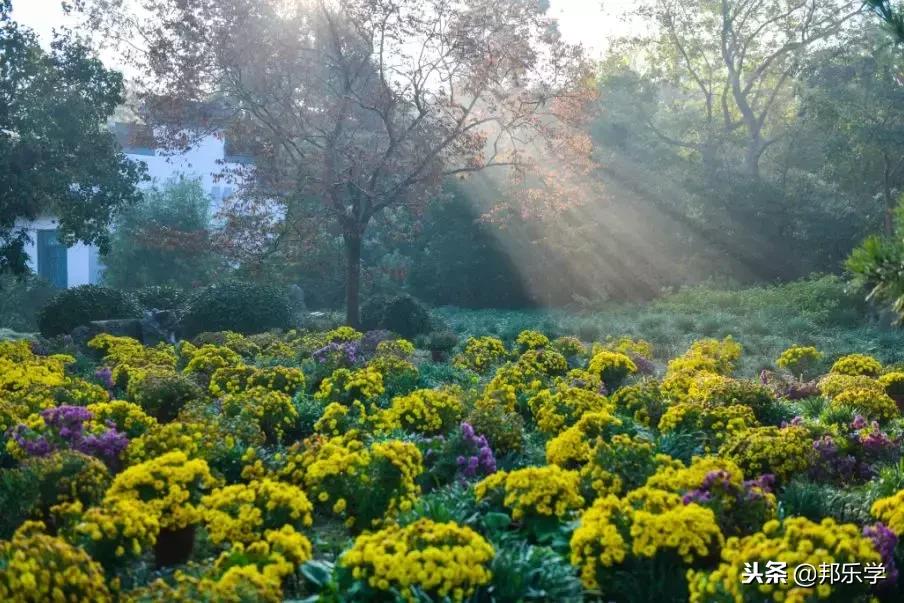 扬州市公园人气榜第一名,扬州入选全球十大宜居城市