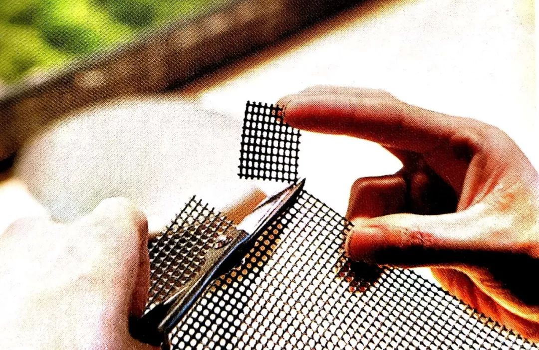 阳台养花垫片大全,去花盆小虫的小窍门