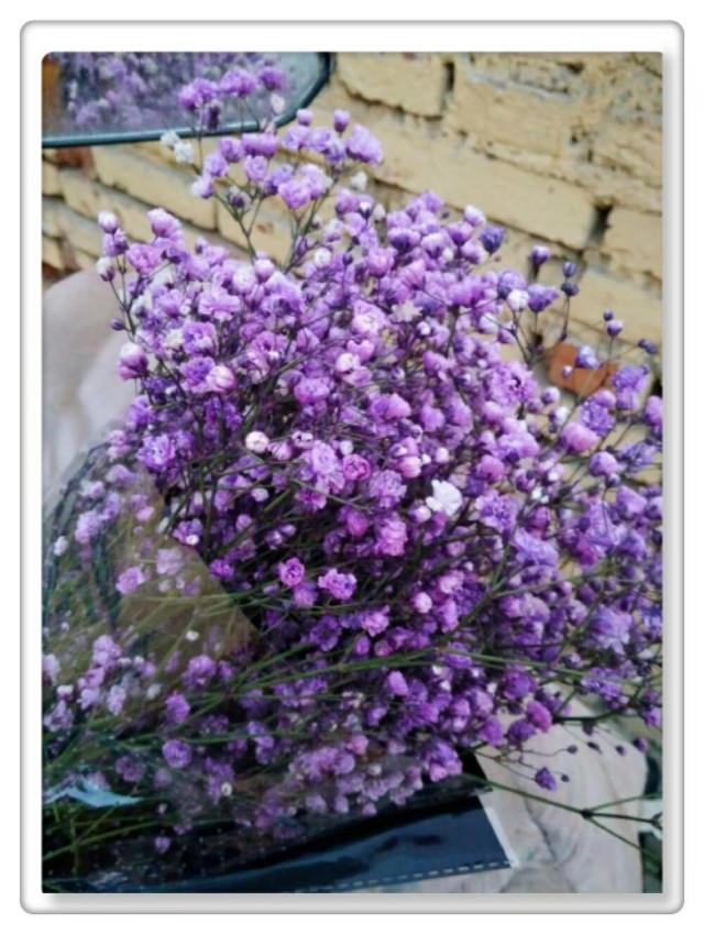 人的一生很难遇见肝胆相照的朋友,与肝胆相照的人共情共事