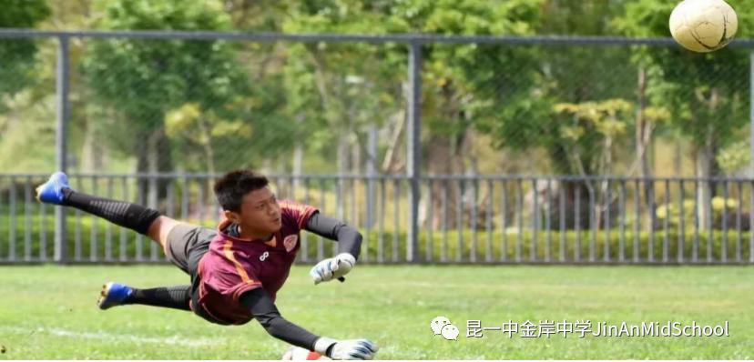 勇往直前争夺冠军,勇往直前冠军