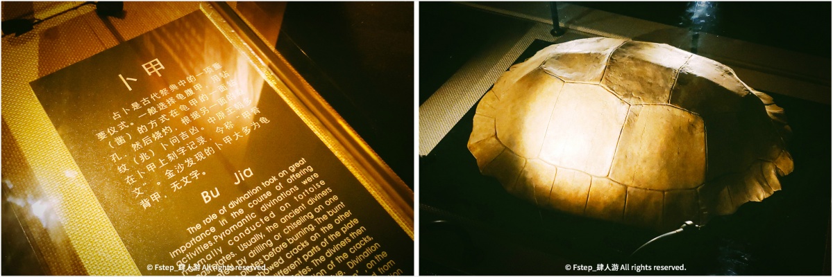 宅家云旅游遇见最美的自己 (宅家云旅游唯有爱与美食不可辜负)