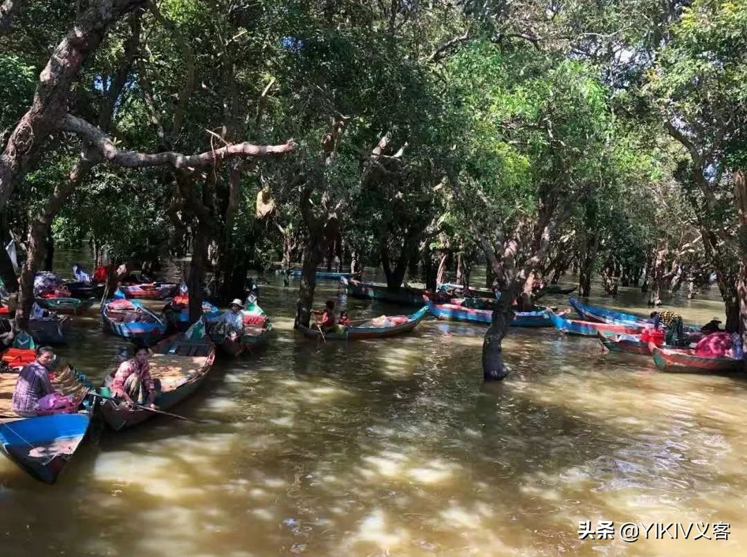 如何在柬埔寨旅游,柬埔寨自由行5天费用