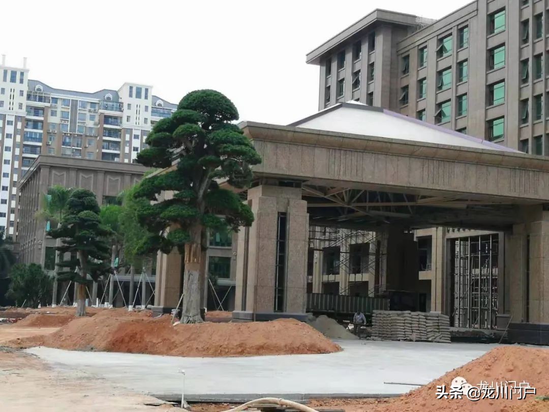 这样的龙川你会喜欢吗？你期待将来是什么样子？