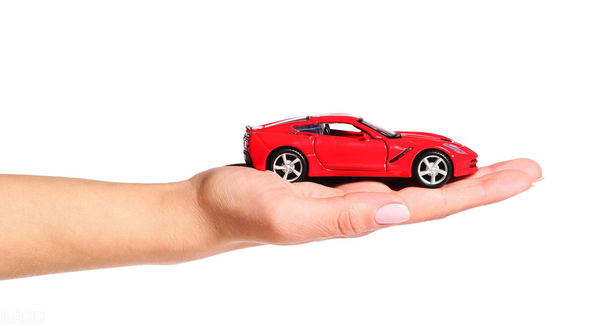 养宠日记300字,养宠日记