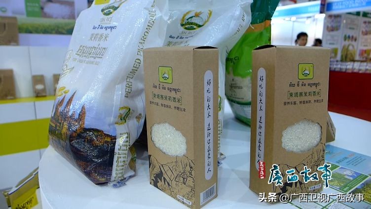 马来西亚籍女主持人,马来西亚著名女主播