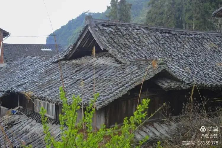 泰顺葛洋陶氏三兄弟修建的三条古道，等你来打卡～