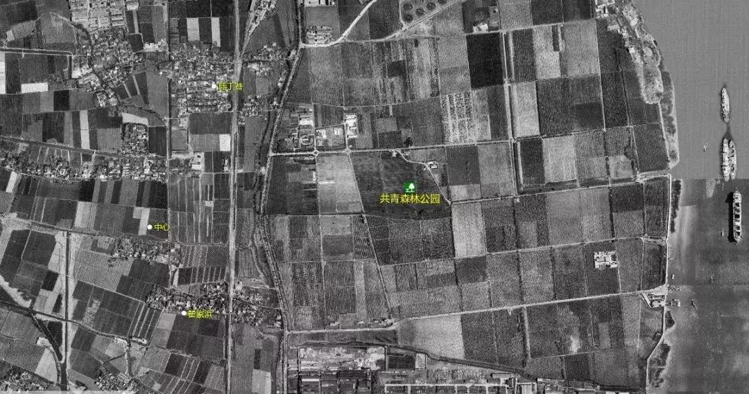 杨树浦、五角场、工人新村……“大杨浦”为什么这么大？