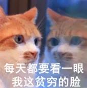 美妆集合店必买,美妆店逛了两小时