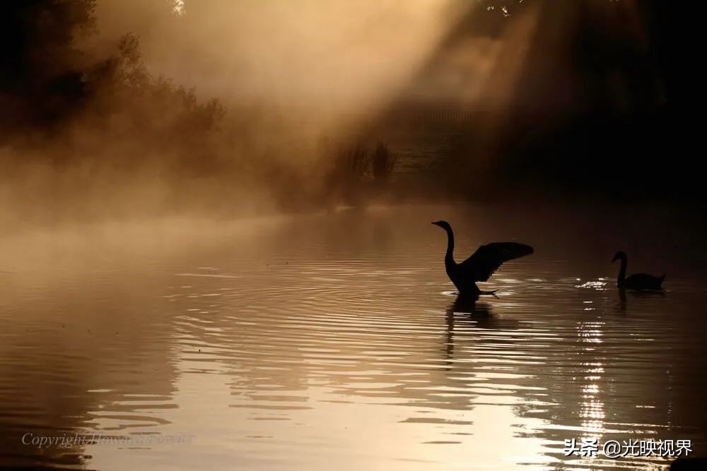 捕捉美好瞬间9秒视频,捕捉震撼的瞬间