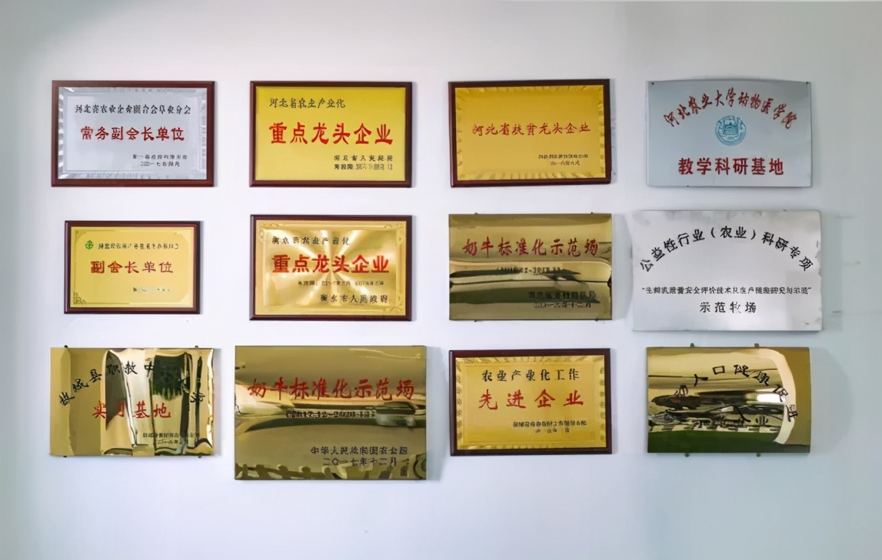 认养一头牛官方初体验,认养一头牛产品