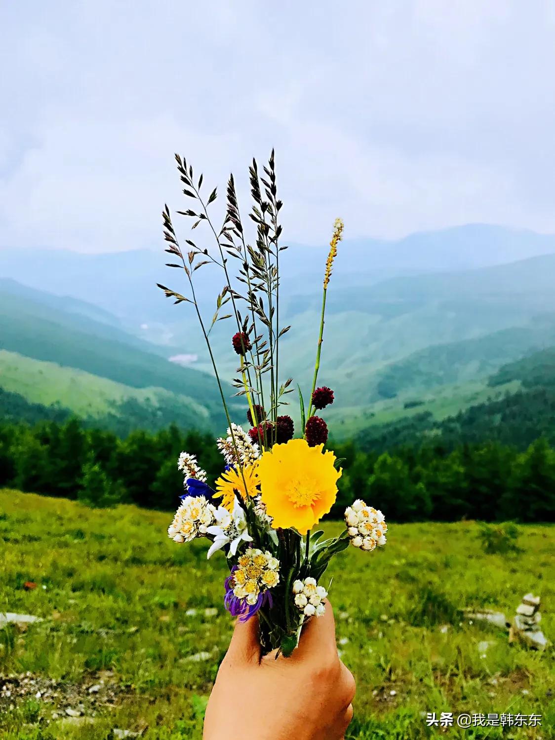 山西五台山旅游攻略准备东西,自驾游山西五台山需要准备的东西