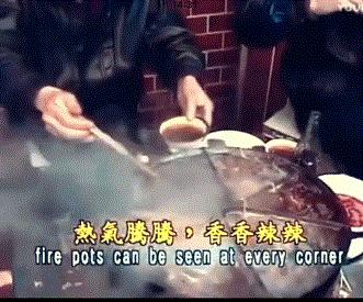 吃火锅必点的菜品毛肚,毛肚那么贵为什么自助火锅随便吃