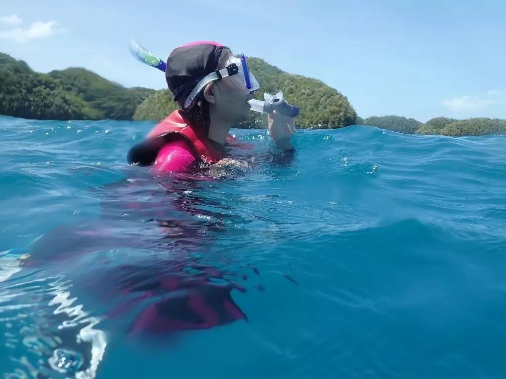 帕劳归来不看海谁说的,帕劳归来不看海