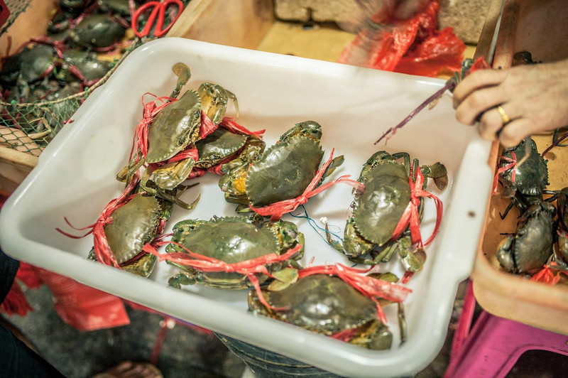 蜜月去海南,三亚蜜月旅行攻略最新