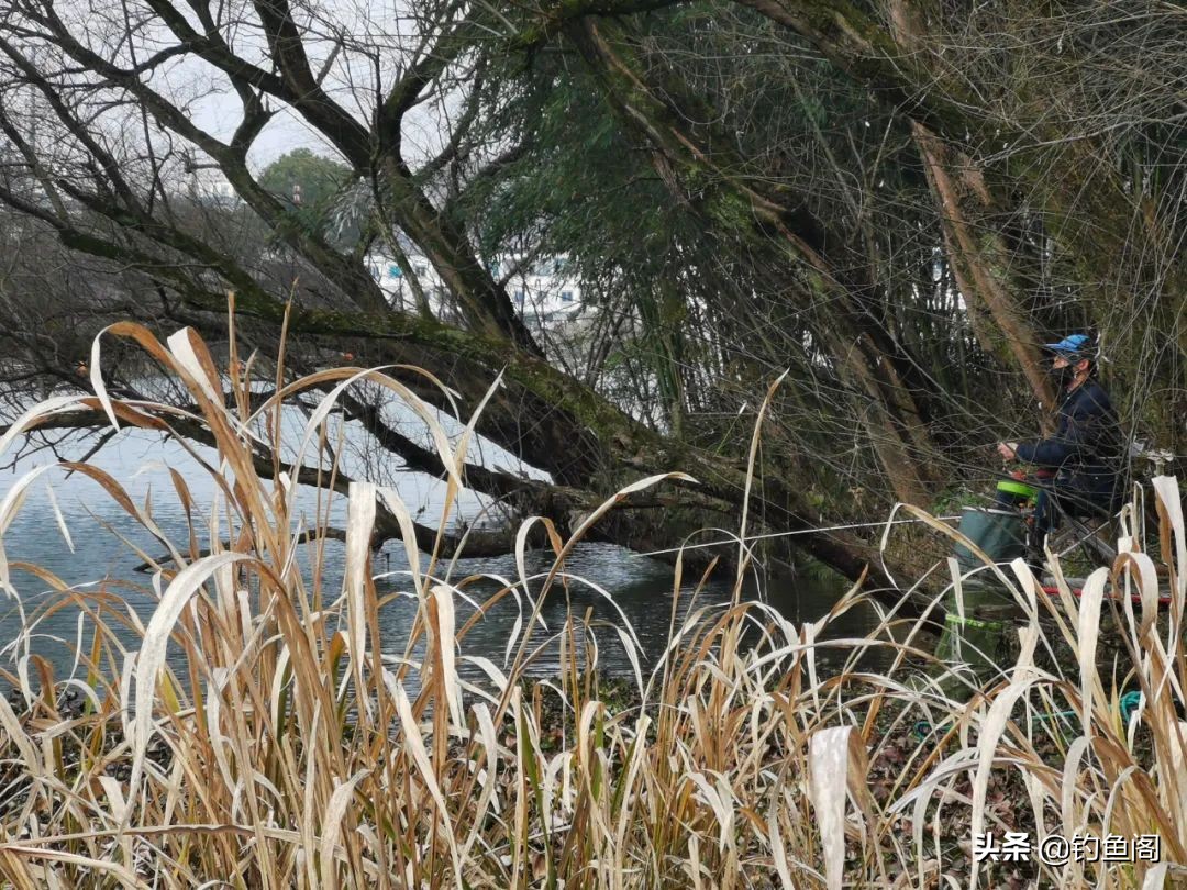 被电过的地方还能钓鱼吗,被电的水域多久能钓鱼