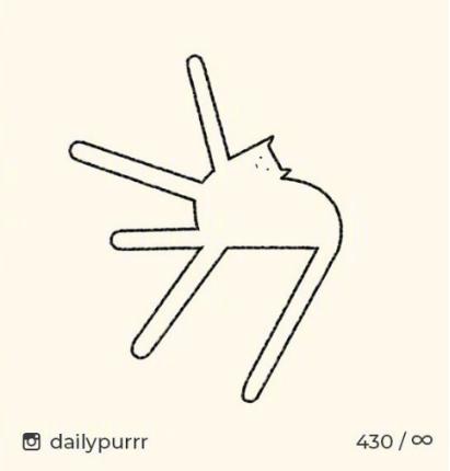 猫的本质是液体，不信看这里，萌化你