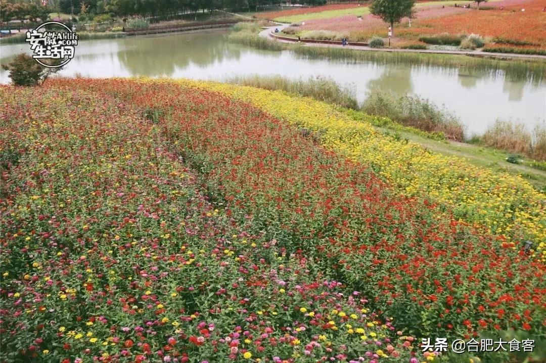 2020年,在这50个地方遇见不一样的合肥