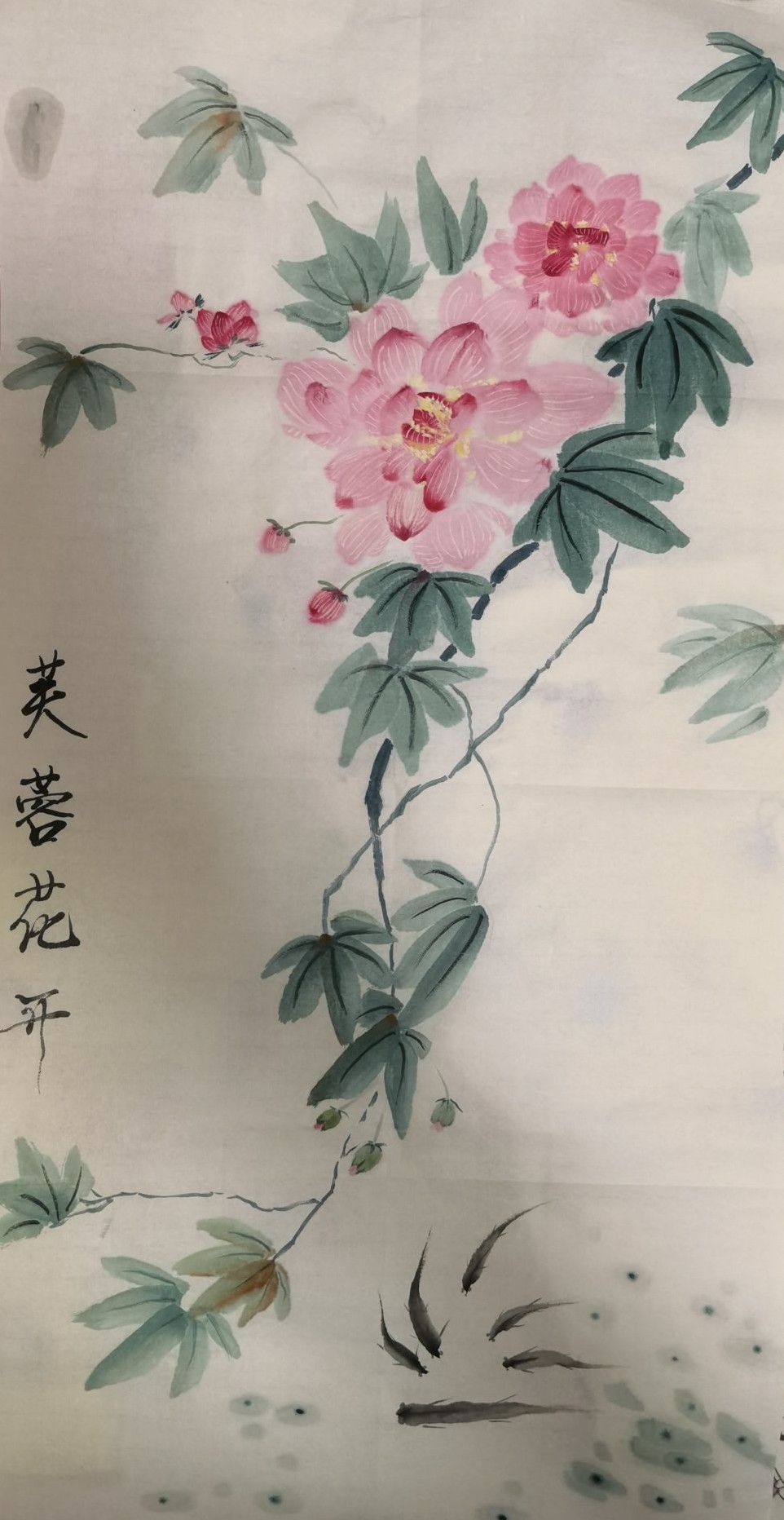 文化的定义有多少种,文化的定义