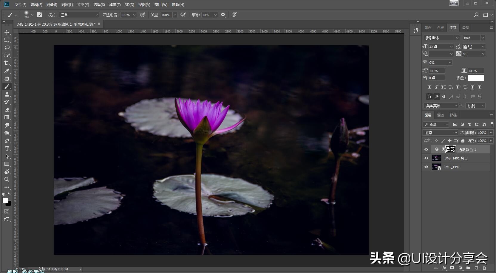 ps画意荷花如何调出洇染效果,ps荷花多重曝光的后期调色教程