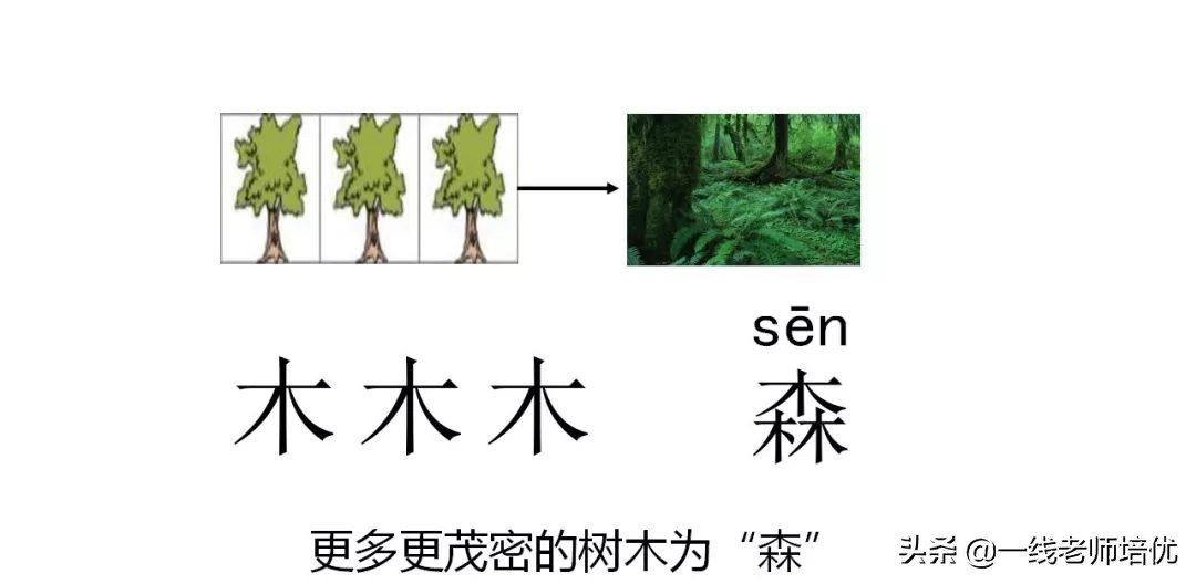 知识点+练习题▎部编版一年级语文上册识字9日月明