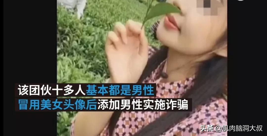 微信公众号被卖,微信公众号被别人卖了