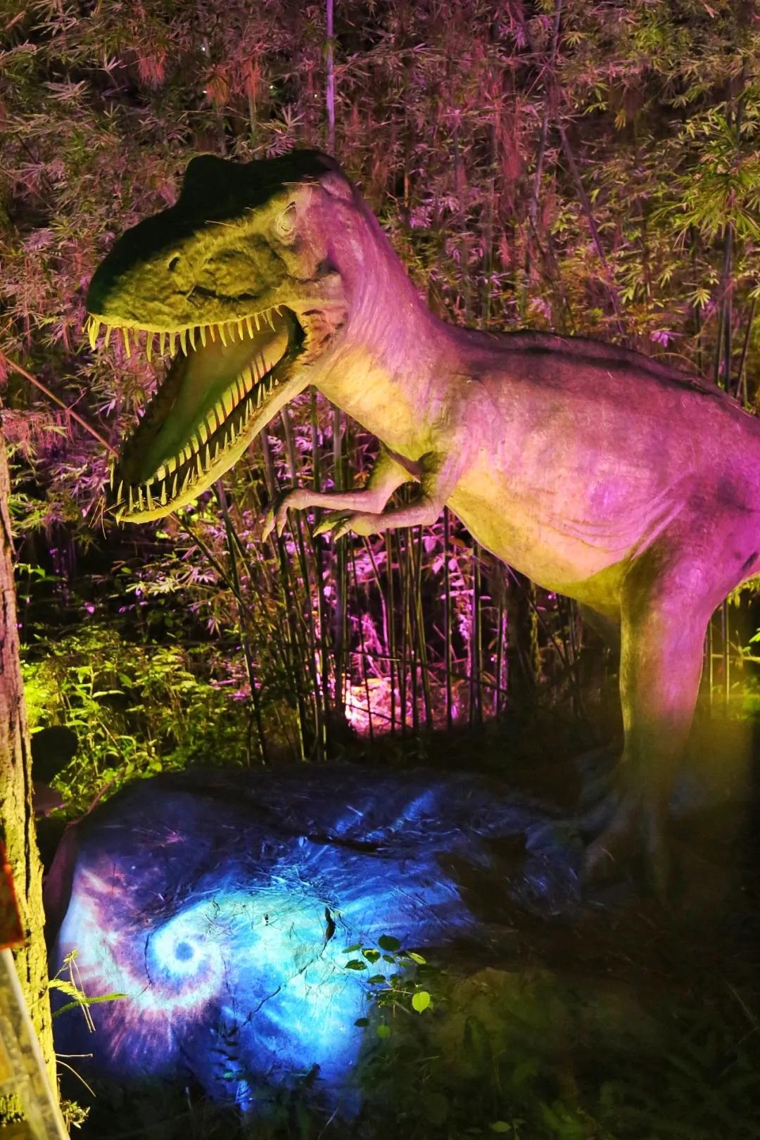 广东清远佛冈旅游攻略,广东清远佛冈森波拉旅游