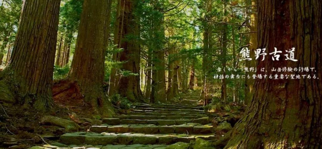 日本最好看的铁路,日本为什么热衷于东南亚铁路