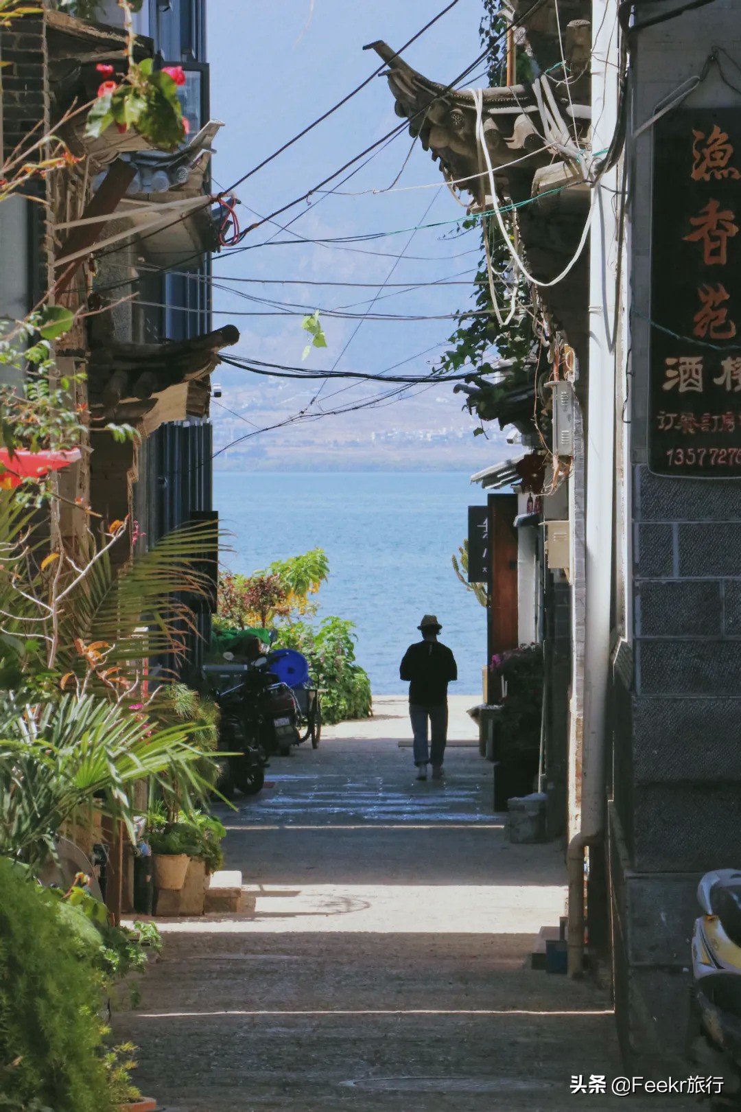 挖到了云南人都点赞的“美食线路”！菌子当道，夏季去度假正好