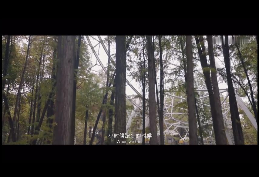 网球天后维纳斯,网球名将李娜