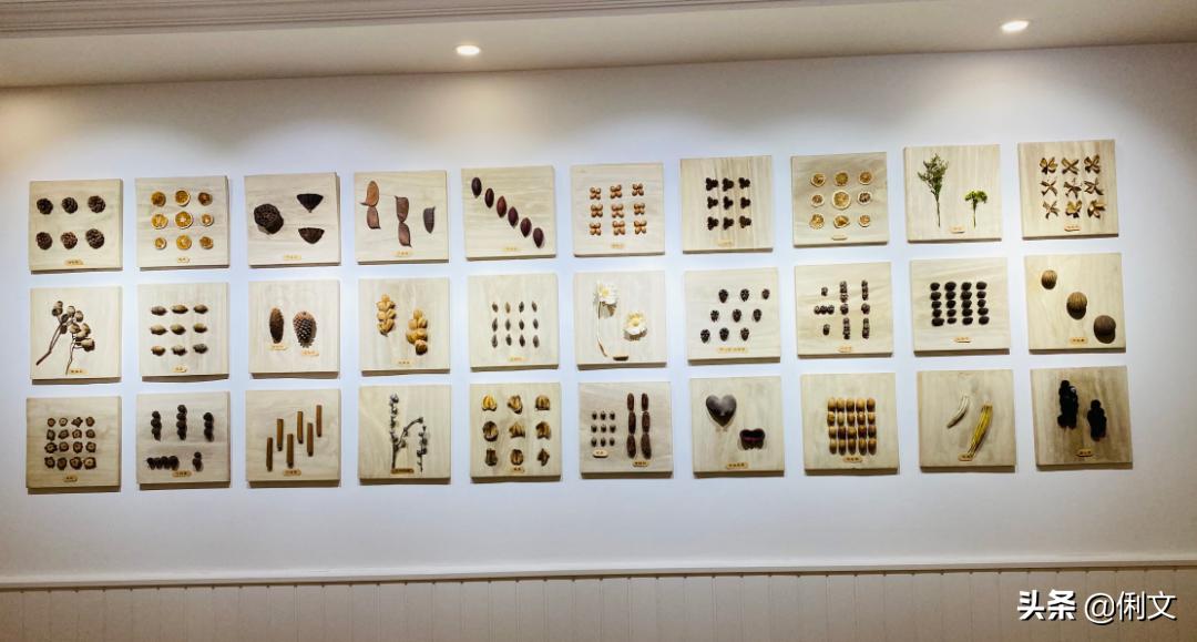 品名园、办高质量的教育——河南省名园园本课程建设交流活动