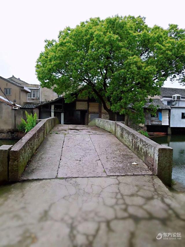 鄞西有一个如画的村庄，这桥很有来头...