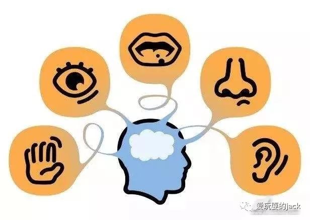 传感器的发展历史和发展趋势,传感器发展史详解