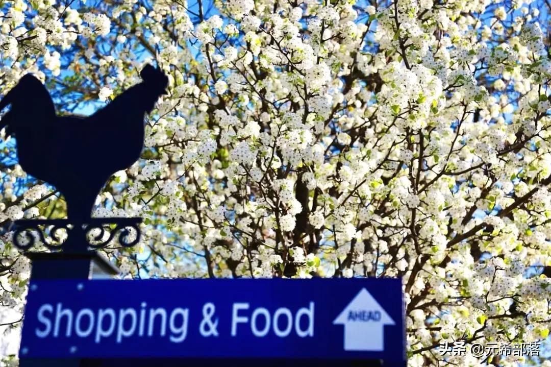 芝加哥周边小城旅游攻略,芝加哥旅游路线地图