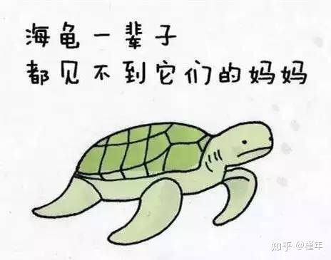 想象中不一样的动物冷知识,悲伤的动物视频