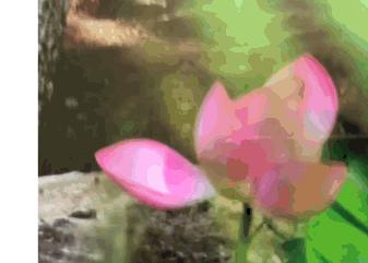 手机如何拍出水墨画效果,如何利用相机拍出有水墨画的感觉