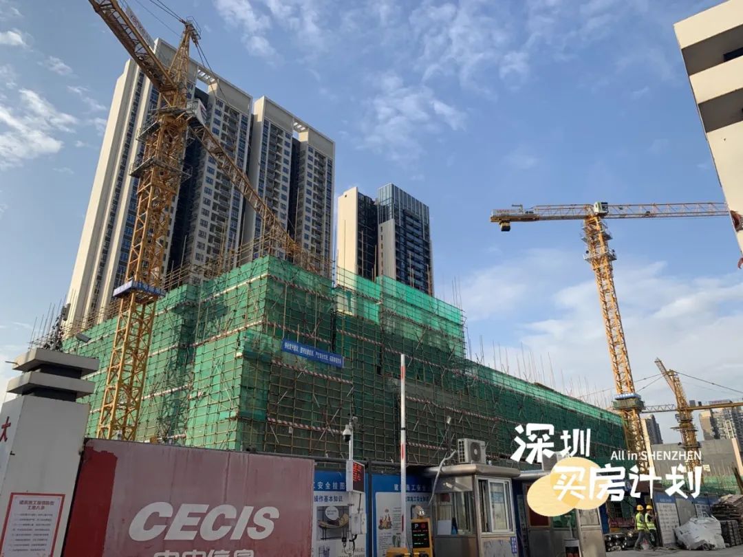 撸完宝安18个新盘！打地鼠式打新来了，你准备pick谁？