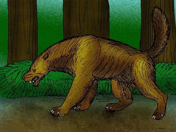 艾克猛,鼬科獾形动物