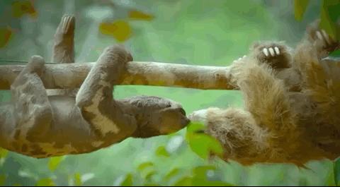 你在搞笑吗韩语,bbc搞笑视频