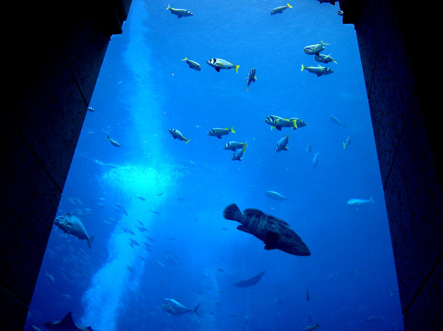 迪拜哪些旅游景点值得去,迪拜有哪些好玩的地方推荐自驾游