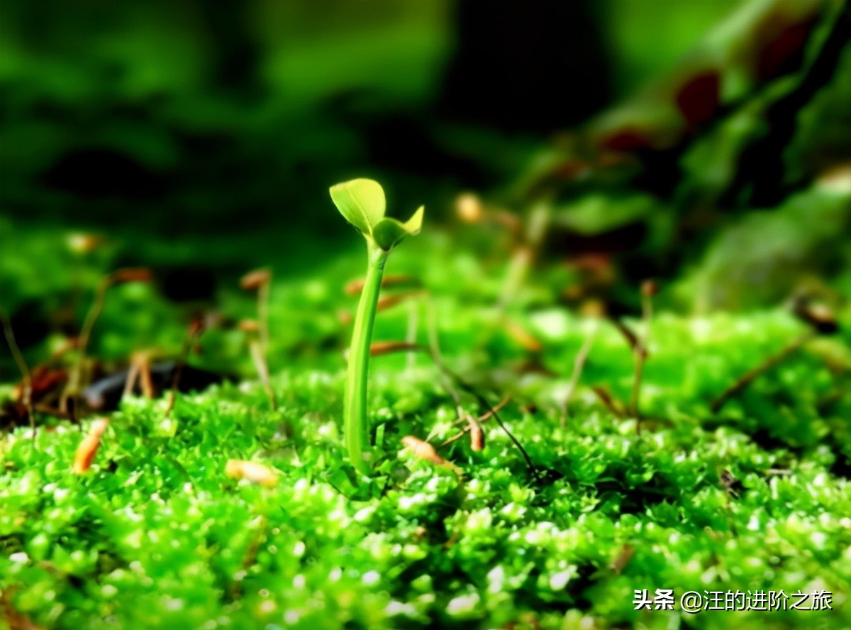 遇见余世维最新视频,余世维感情