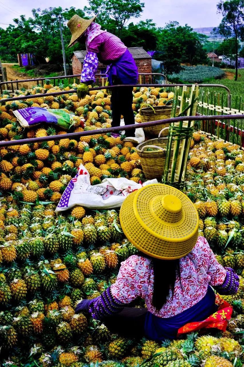 距海南仅20km，这个处女地比台湾风情、比三亚便宜，你错过了吗？