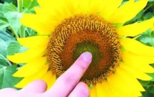 涓嶈鐣忔儳鑲涜偁鎸囨,鍒缇炲甫鎮ㄤ簡瑙ｇ棓鐤殑绉樺瘑